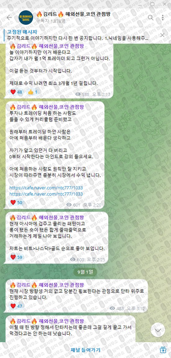 이 사진은 담덕법률사무소에서 캡쳐해둔 김리드(VIP) 웹사이트 캡쳐 사진이며 URL은 damdeoc.com 입니다.