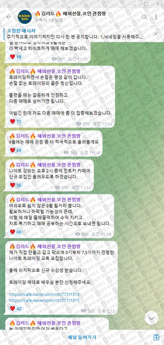 이 사진은 담덕법률사무소에서 캡쳐해둔 김리드(VIP) 웹사이트 캡쳐 사진이며 URL은 damdeoc.com 입니다.