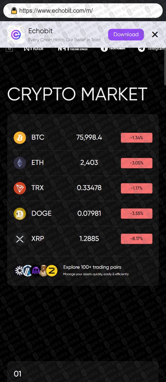 이 사진은 담덕법률사무소에서 캡쳐해둔 사칭(Echobit EXCHANGE) 웹사이트 캡쳐 사진이며 URL은 echobit.com 입니다.