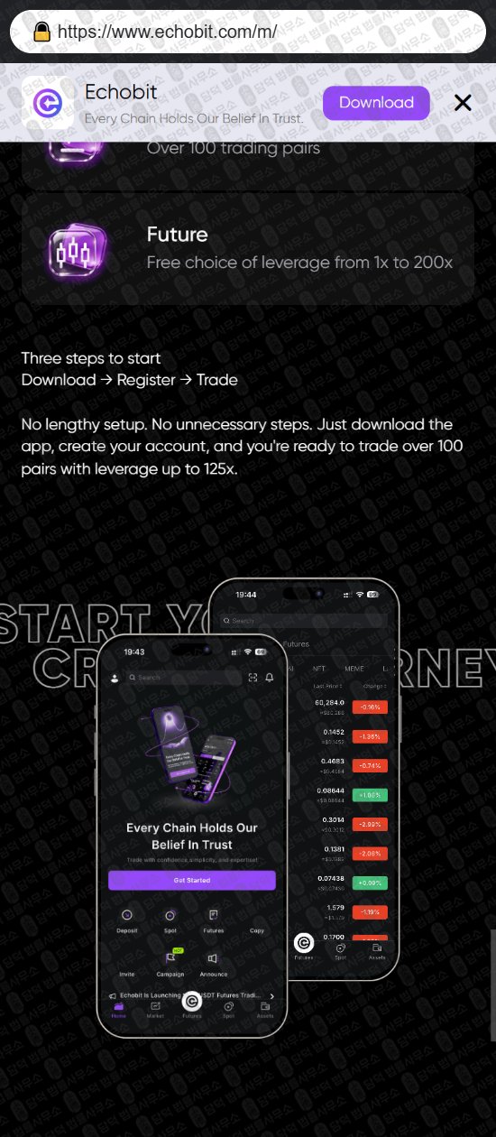 이 사진은 담덕법률사무소에서 캡쳐해둔 사칭(Echobit EXCHANGE) 웹사이트 캡쳐 사진이며 URL은 echobit.com 입니다.