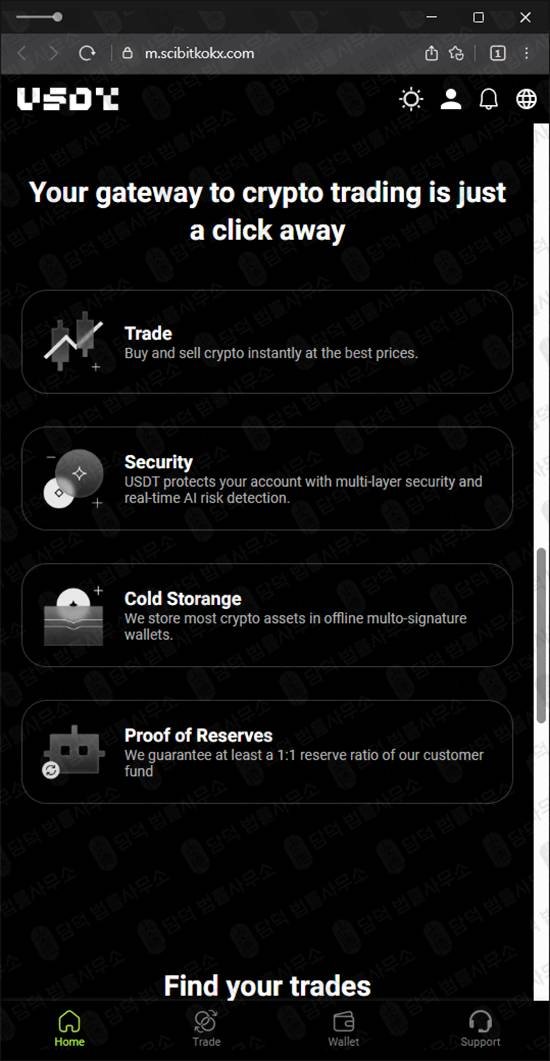 이 사진은 담덕법률사무소에서 캡쳐해둔 테더(USDT) 웹사이트 캡쳐 사진이며 URL은 token-positioncoin.com 입니다.