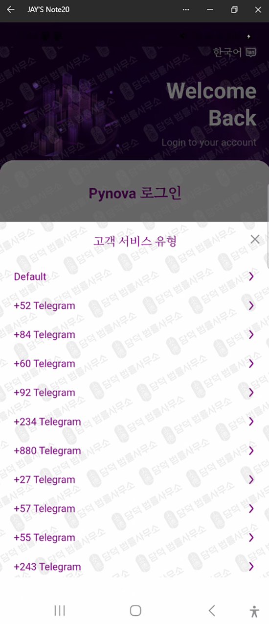 이 사진은 담덕법률사무소에서 캡쳐해둔 파이노바(Pynova) 웹사이트 캡쳐 사진이며 URL은 google.com 입니다.