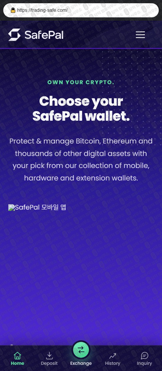 이 사진은 담덕법률사무소에서 캡쳐해둔 세이프팔(SafePal) 웹사이트 캡쳐 사진이며 URL은 trading-safe.com 입니다.