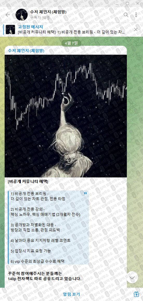 이 사진은 담덕법률사무소에서 캡쳐해둔 수저(VIP) 웹사이트 캡쳐 사진이며 URL은 t.me 입니다.