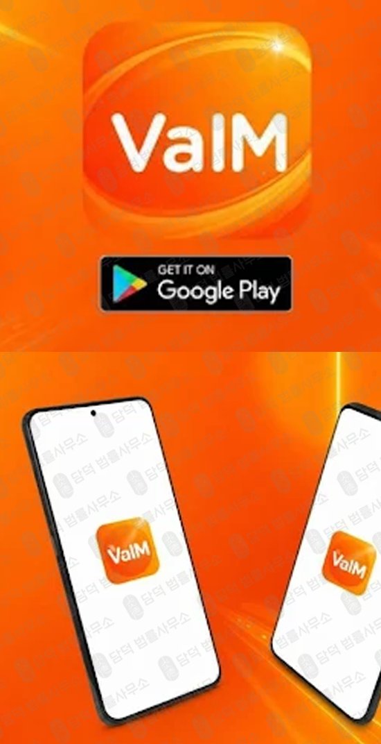 이 사진은 담덕법률사무소에서 캡쳐해둔 구글(VaIM PRO) 웹사이트 캡쳐 사진이며 URL은 google.com 입니다.