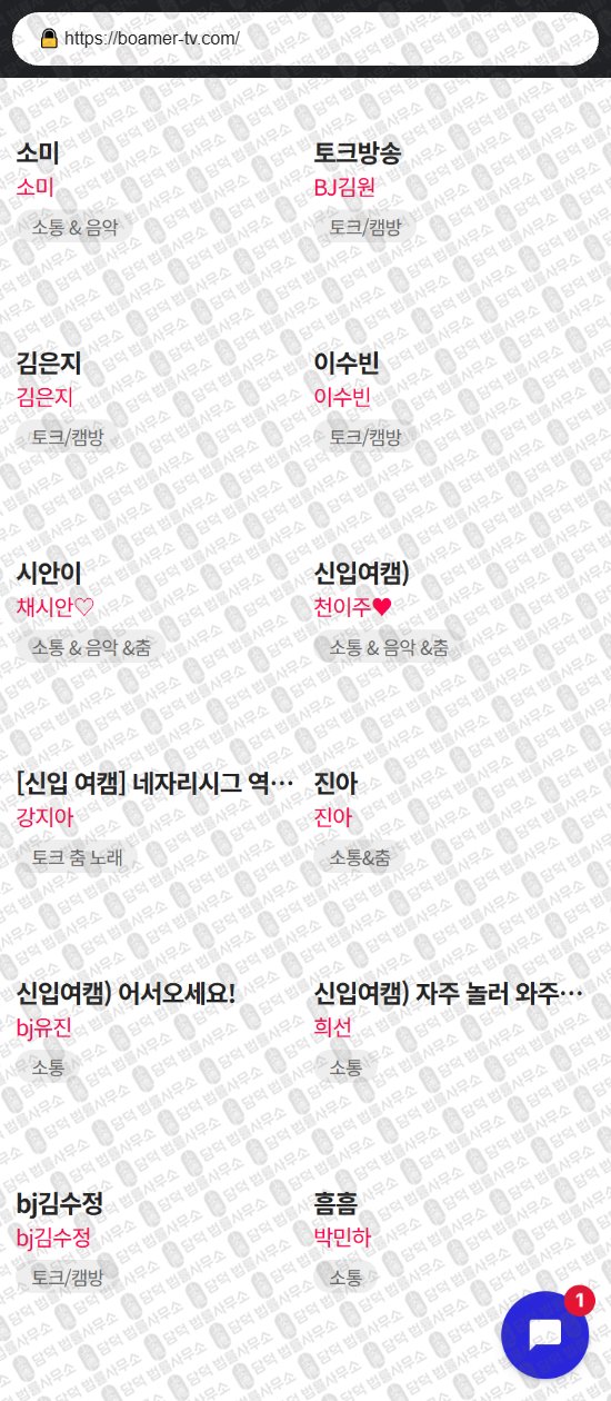 이 사진은 담덕법률사무소에서 캡쳐해둔 바이빅스(TV) 웹사이트 캡쳐 사진이며 URL은 vibix.net 입니다.